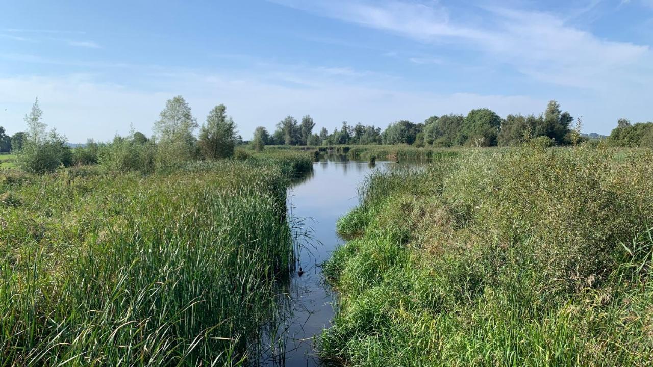 'T Paviljoenhus Bij Sneekermeer Offingawier Zewnętrze zdjęcie